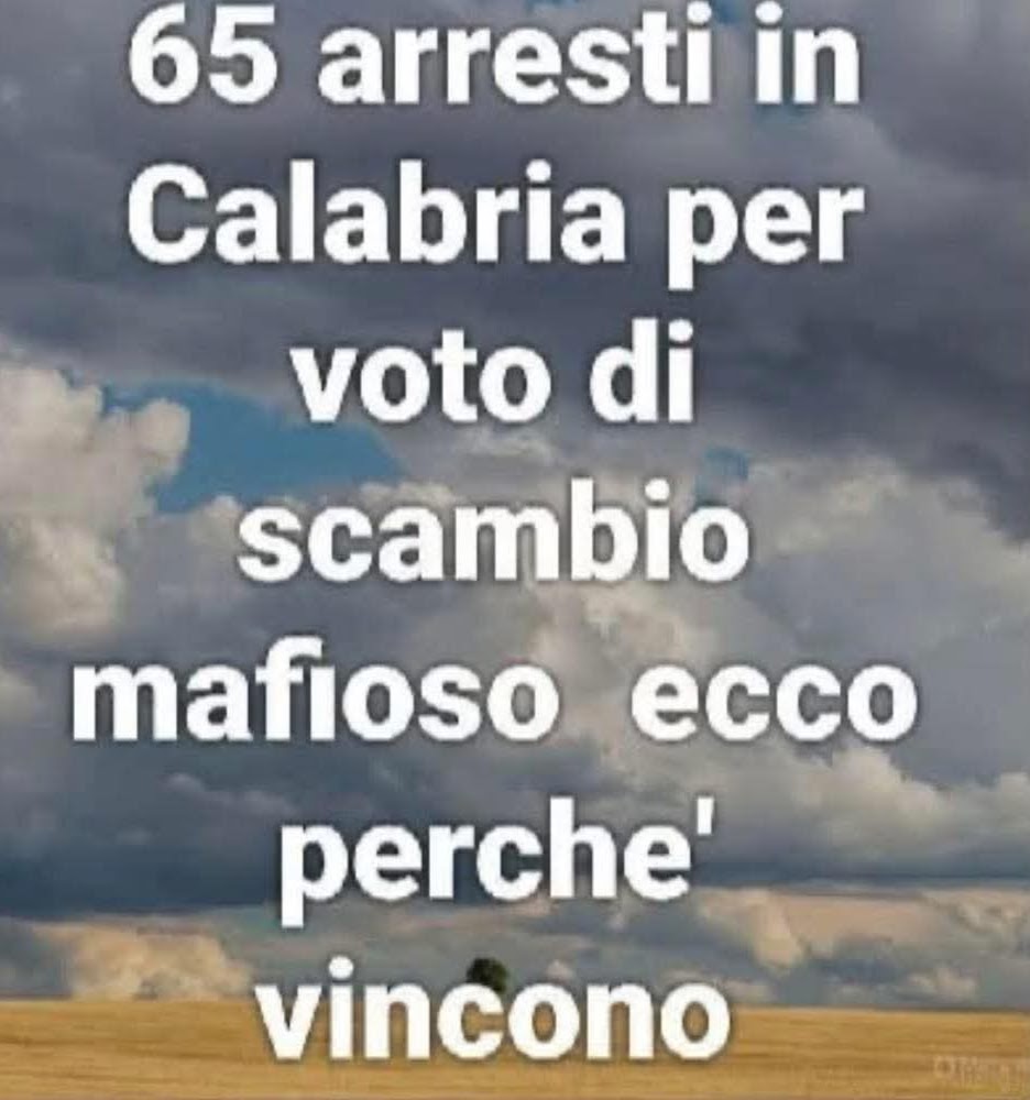 Mitch Pal tweet media