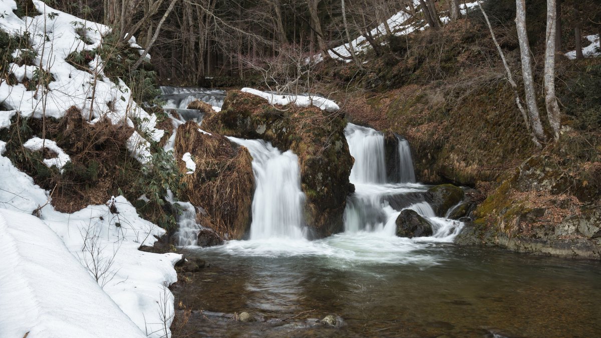 まちすな子🌛 tweet media