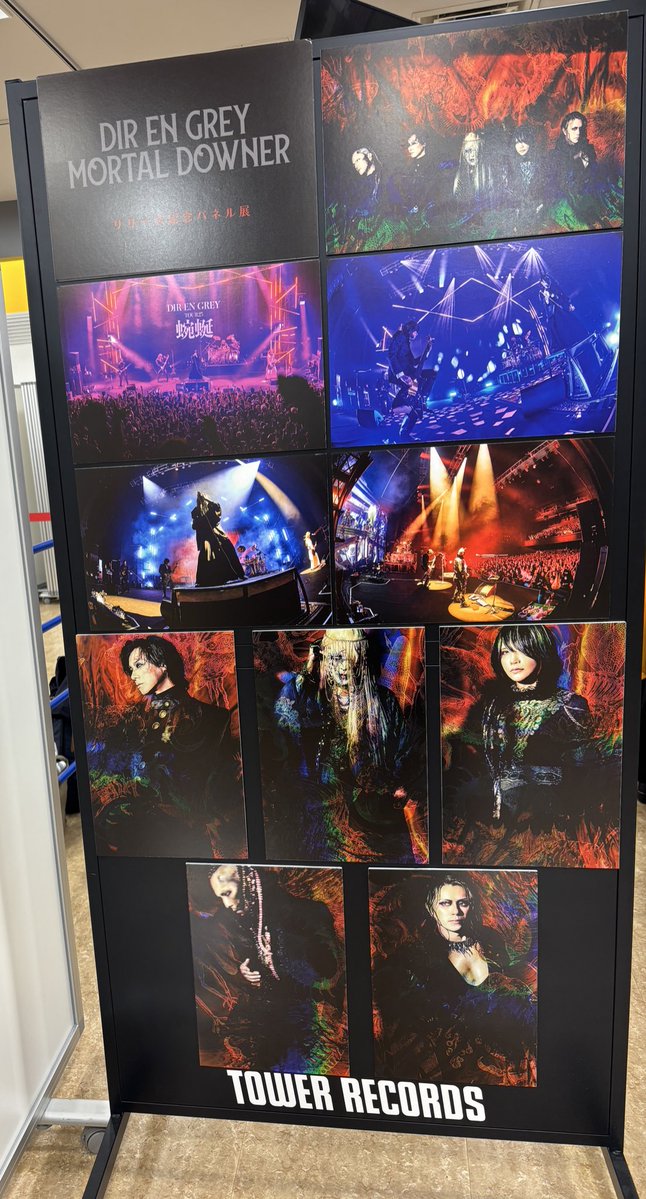 瑠璃☆ tweet media