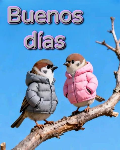 FerguGuez's tweet photo. Buen martes para Todos https://t.co/Y56SAHGzYA