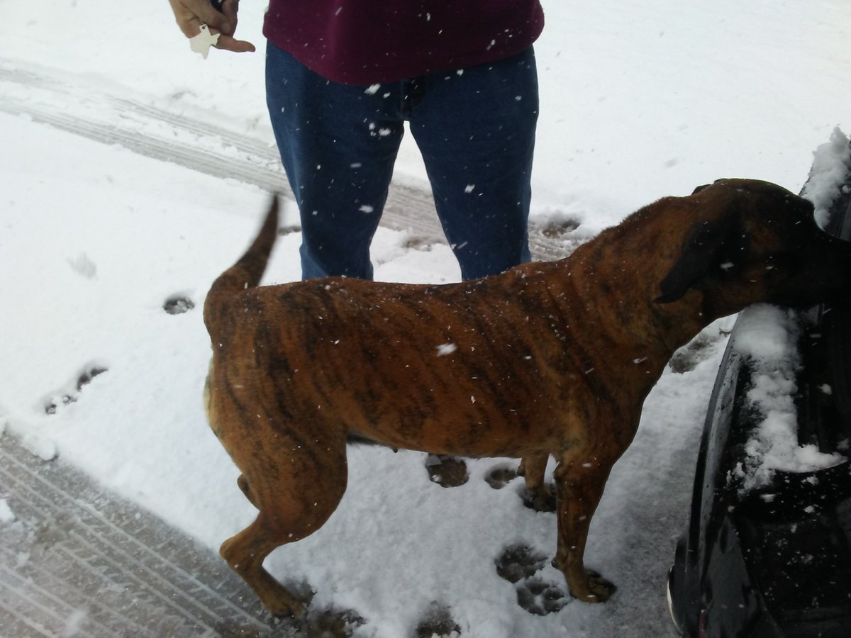 JessBlane1122 tweet media