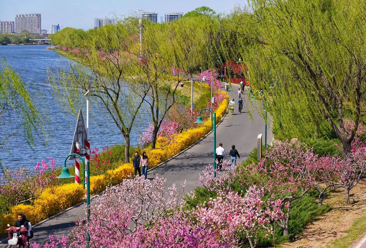 Beijing Daily tweet media