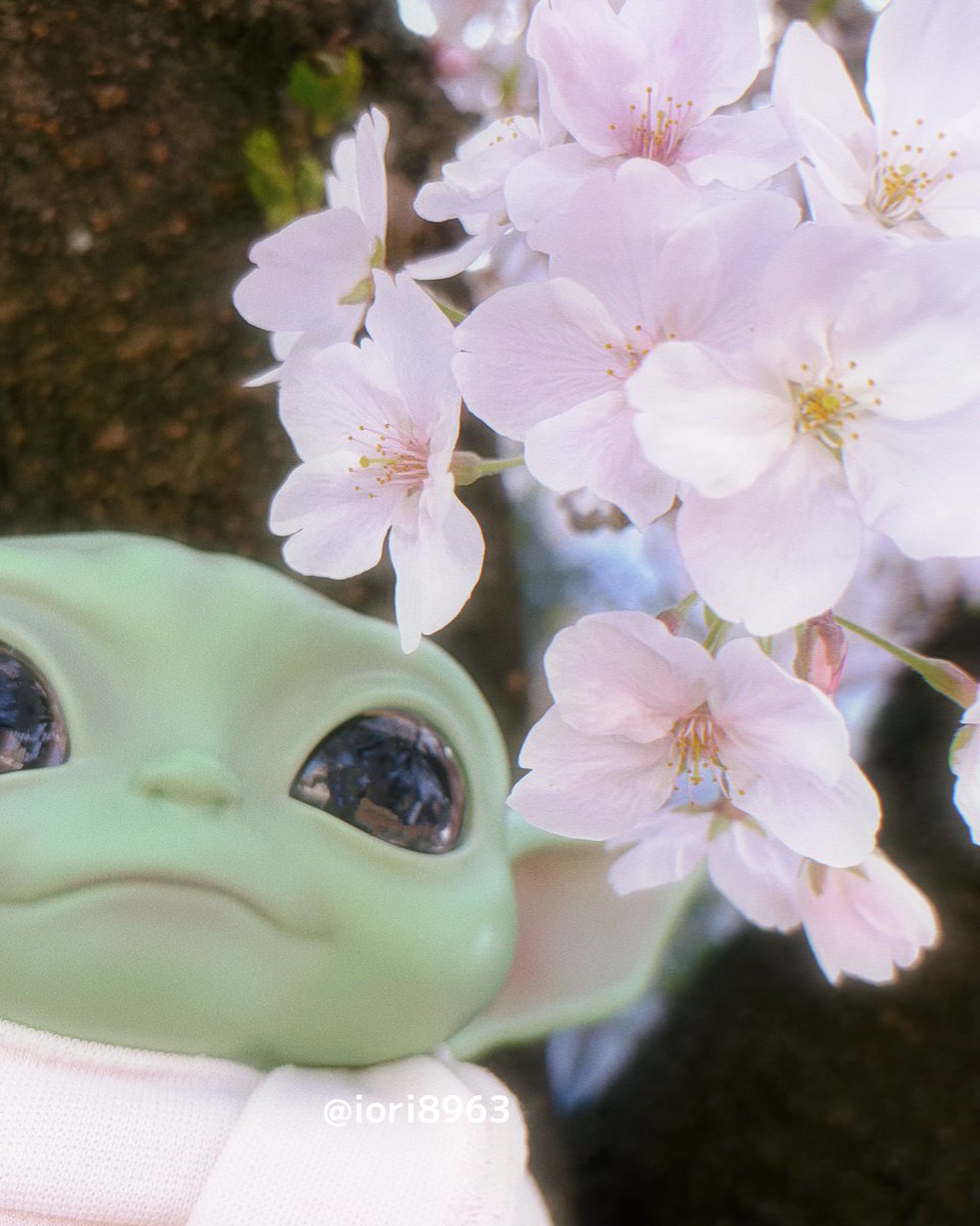 𝕀𝕆ℝ𝕀＆𝕌ℙ𝕆 tweet media