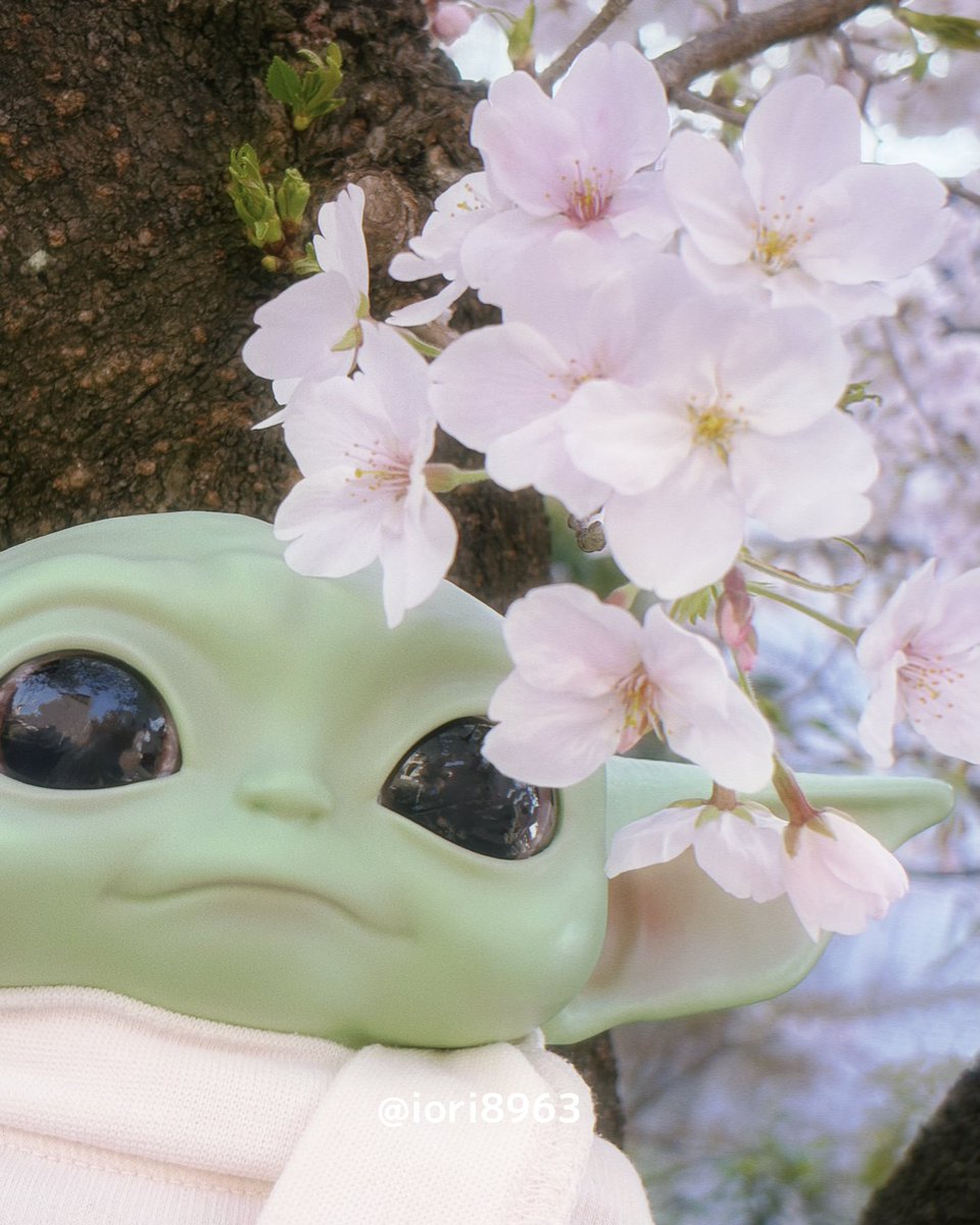 𝕀𝕆ℝ𝕀＆𝕌ℙ𝕆 tweet media