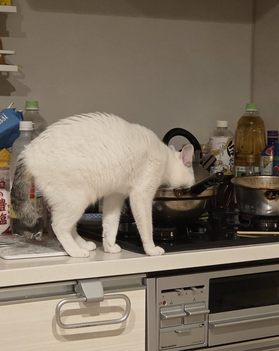 キュッ tweet media