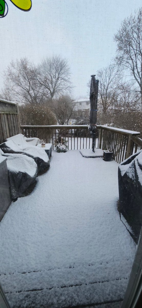 🍁☘️Canadian Fletchy 🇨🇦 tweet media