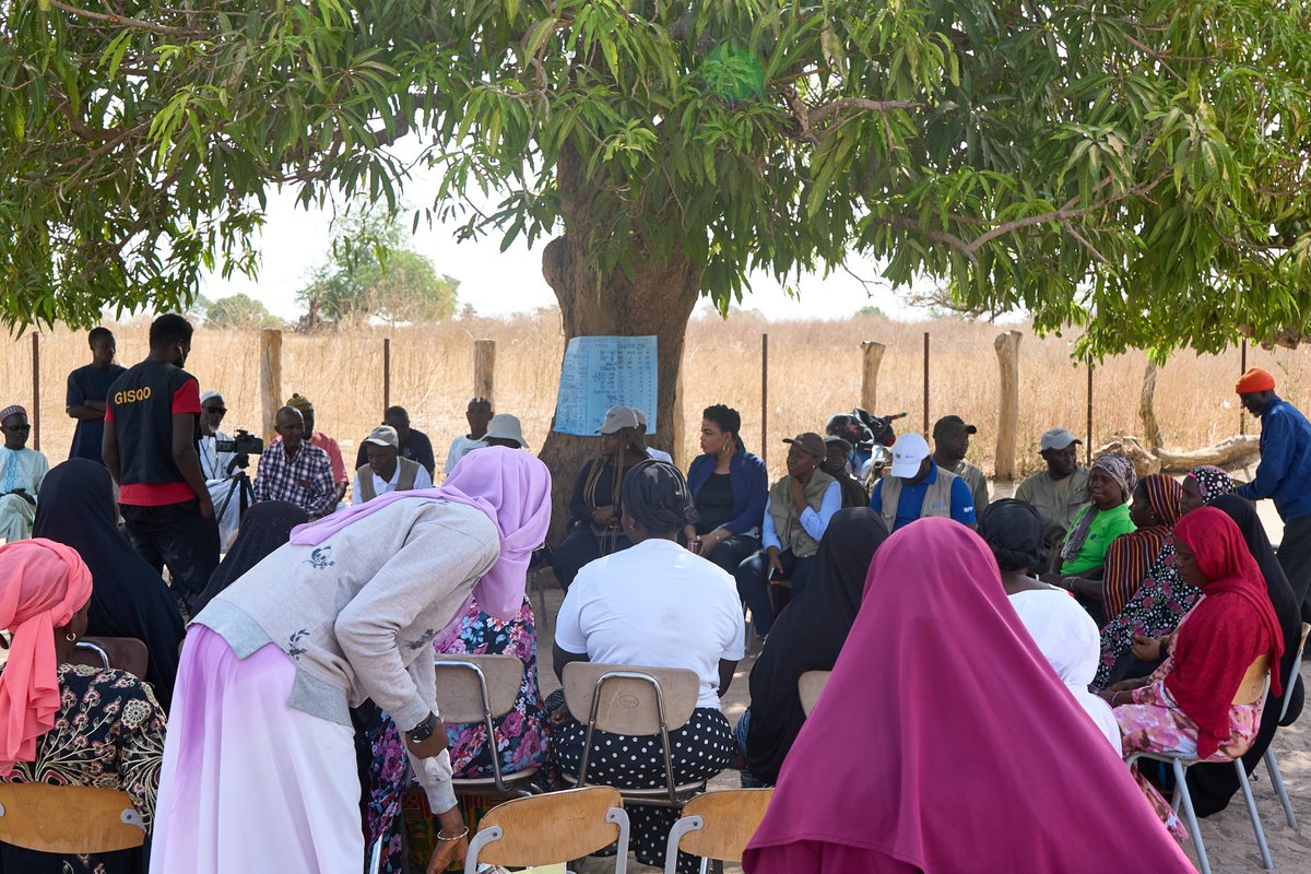 gafspcpcu's tweet photo. On 30 March 2026, the @AfDB_Group   visited Gambia Agriculture and Food Security Project sites in the West Coast Region to engage communities, assess progress, and support school feeding and food security.
@philboahen @GAFSPfund @WFP_TheGambia @batdes https://t.co/LvtiGyZ2wG