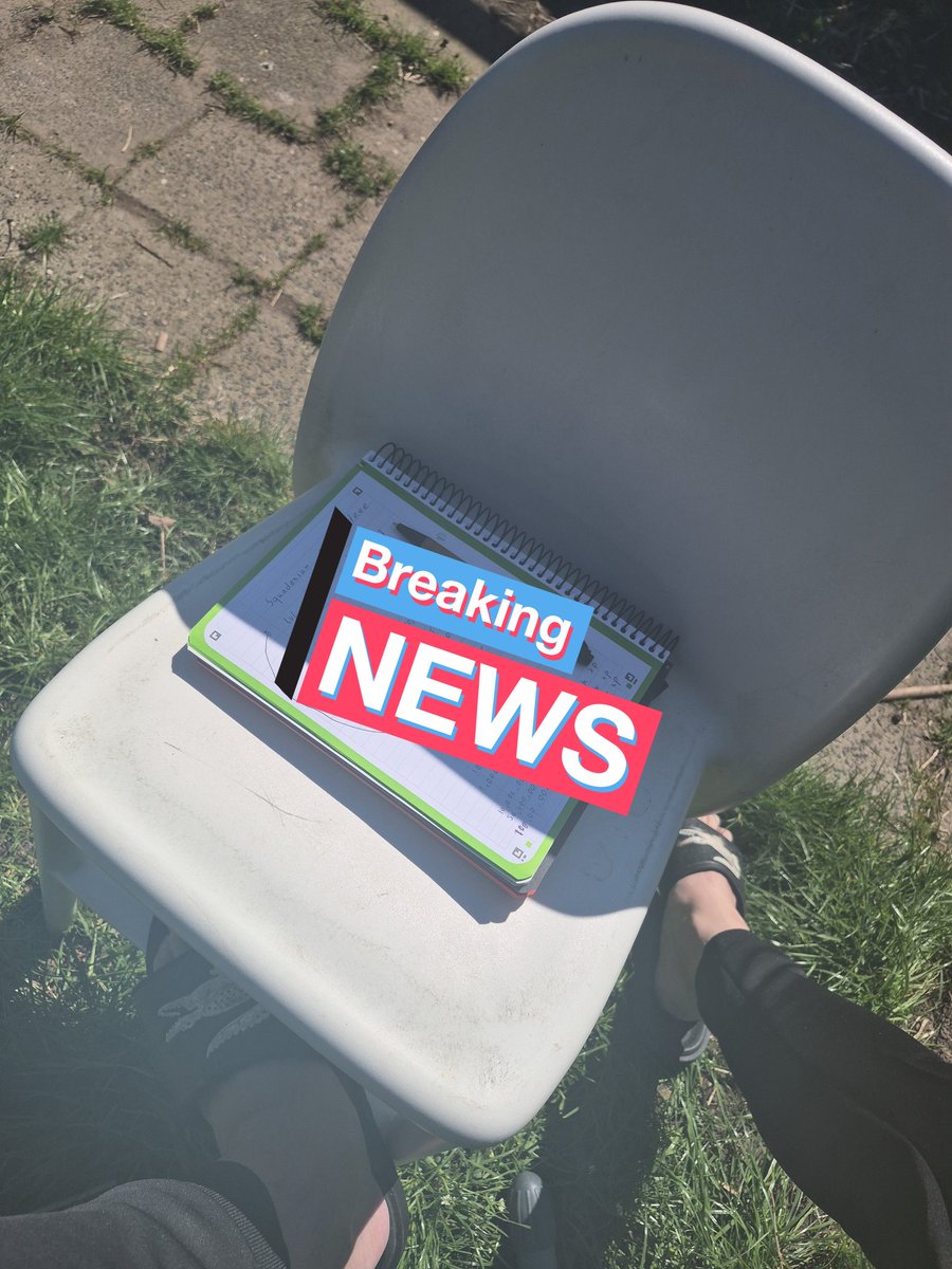 Murtagh.vet ⓥ tweet media