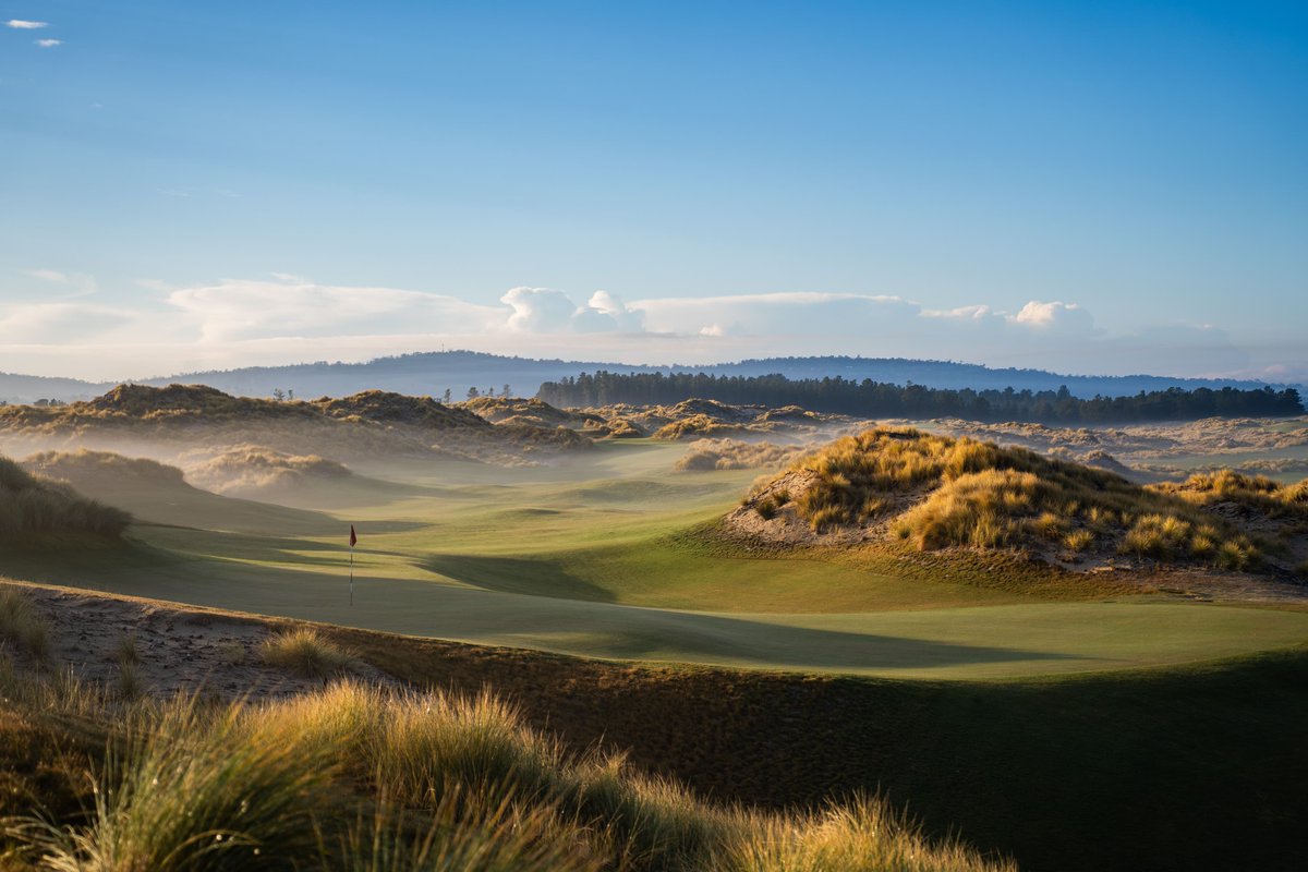 Lloyd Cole tweet media