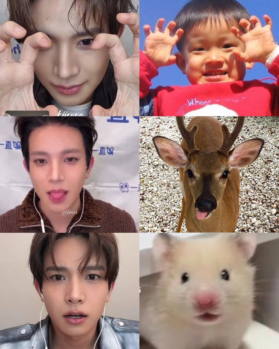 hae🦇sevEN tweet media