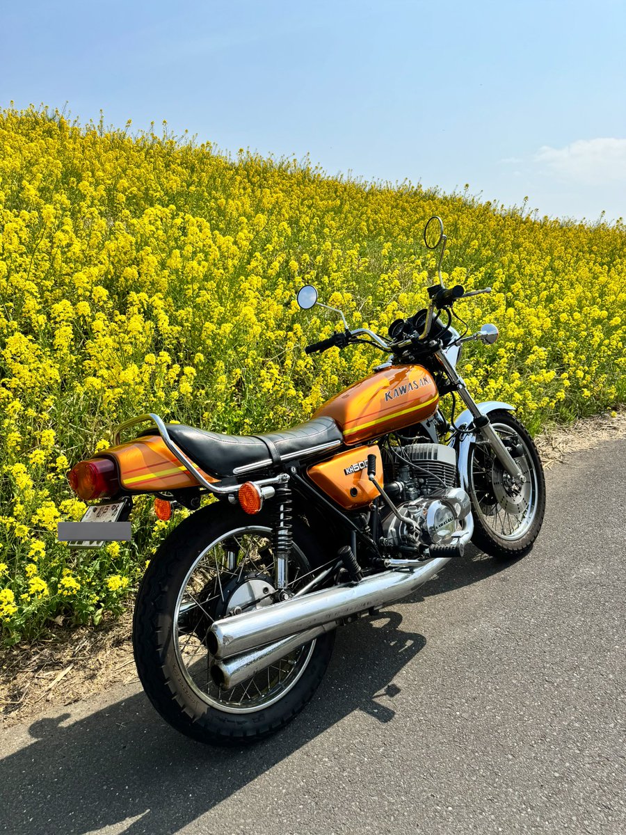 超桃白白╭(.-.╭ )╮ tweet media