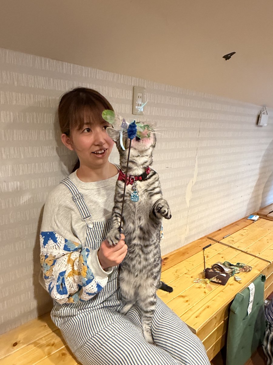 デカフェ🏠繋がりをみんなで作るカフェ tweet media