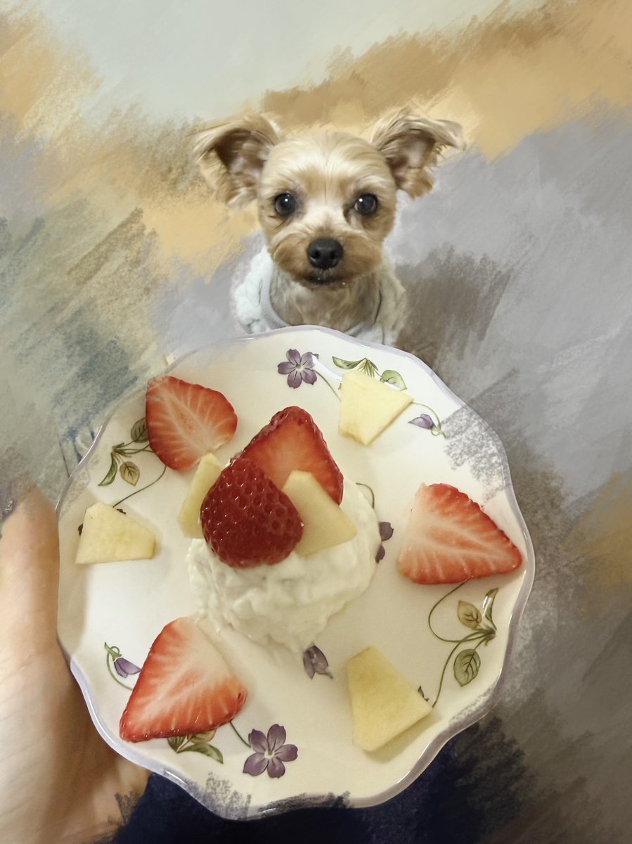 しずく❛ ̫ ❛ tweet media