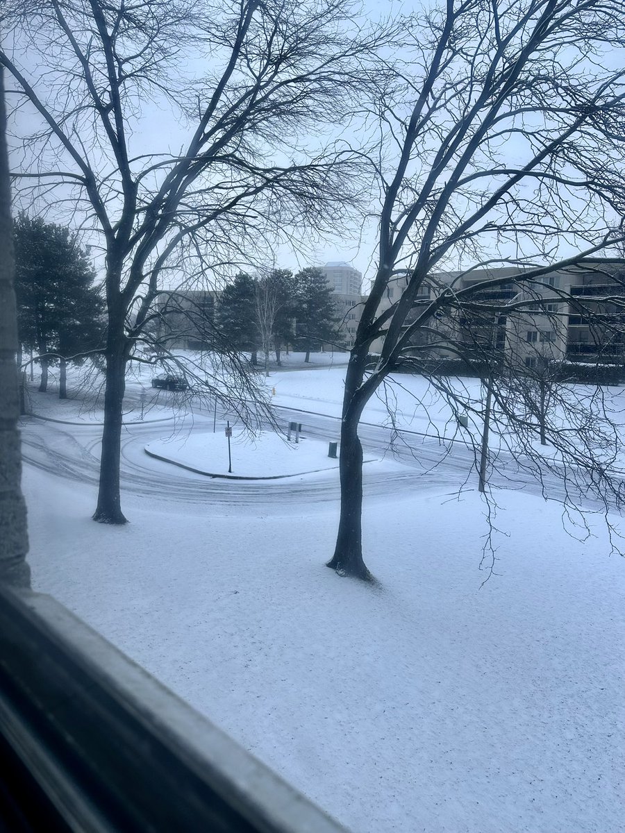 ⟡ s a g e ⟡ tweet media