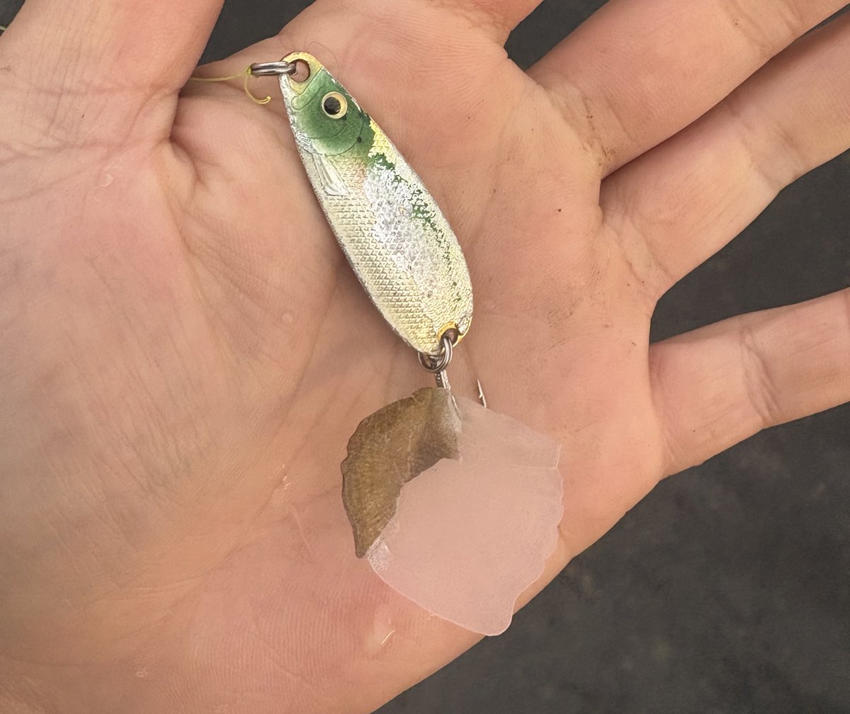 ライン全部出されるかと思った