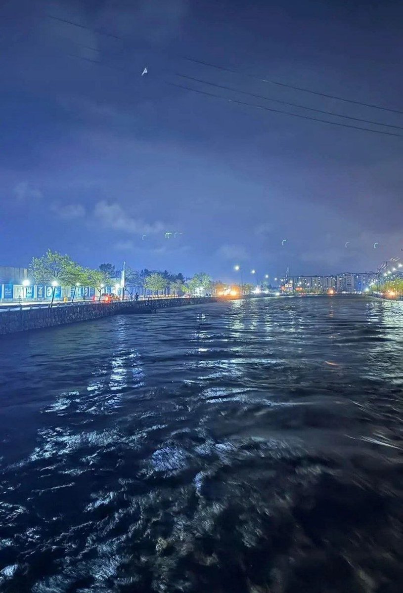 Golnazevan tweet media