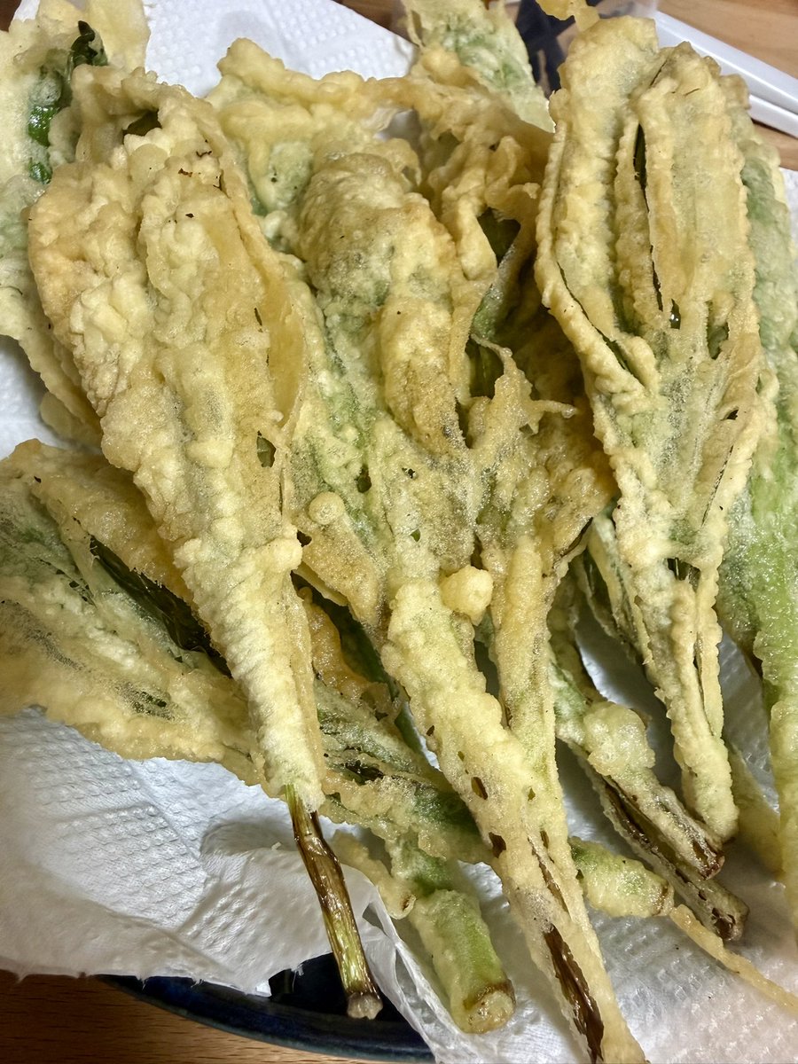 鳳 鴻騎 tweet media