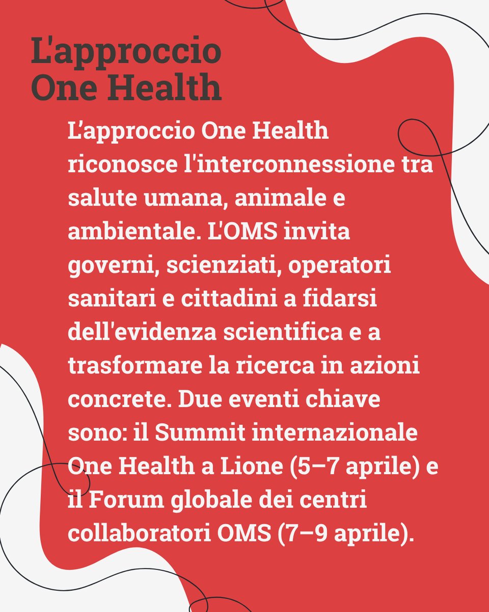 IngegneriaBiomedica.org tweet media