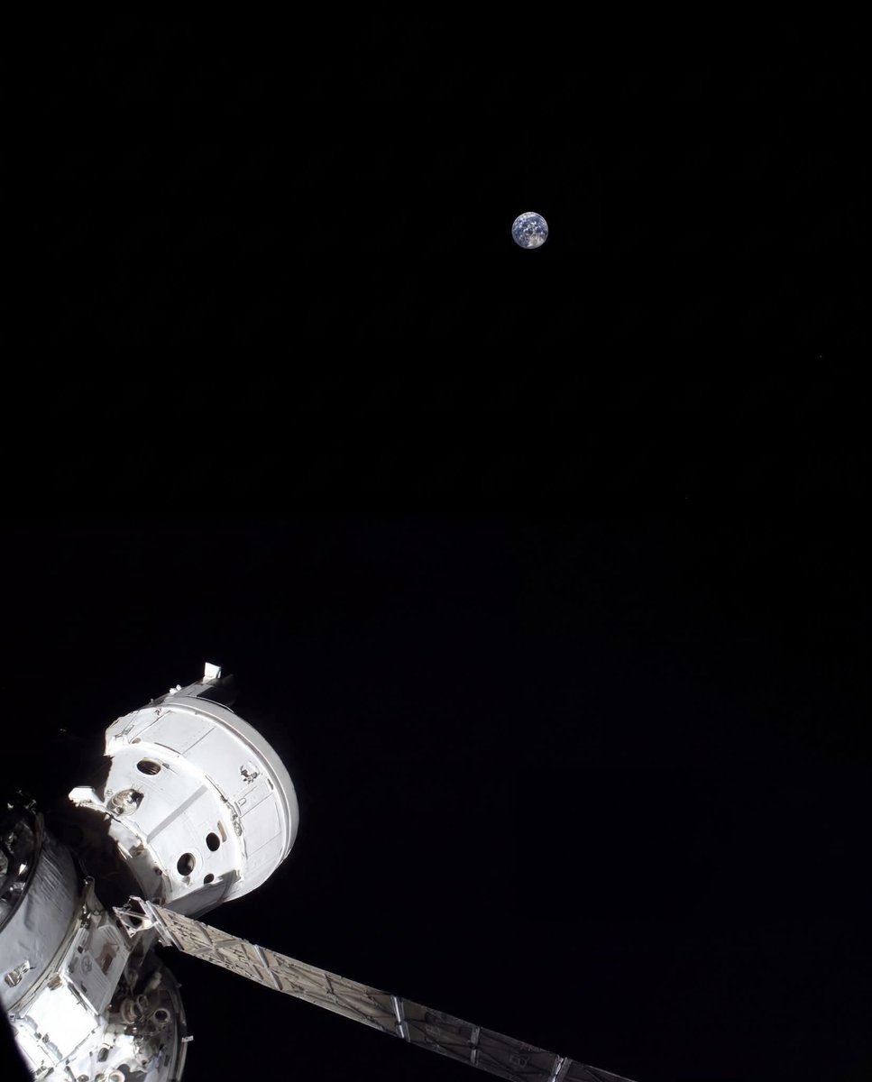 Black Hole tweet media