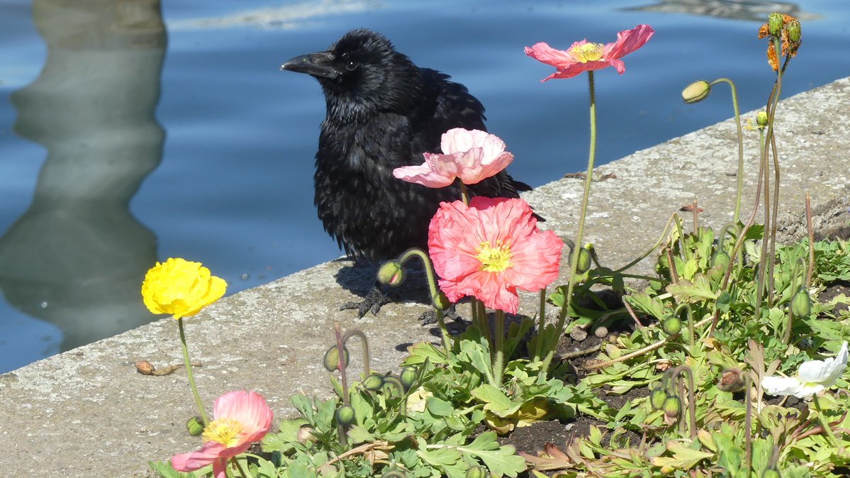 Jason Cann tweet media