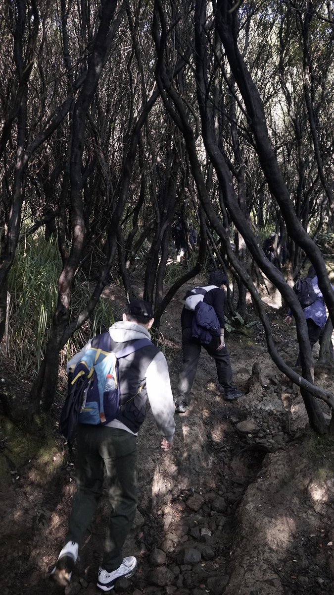 Bluuuuuuur tweet media