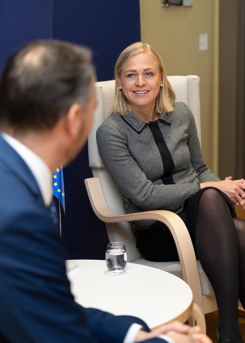 Elina Valtonen tweet media