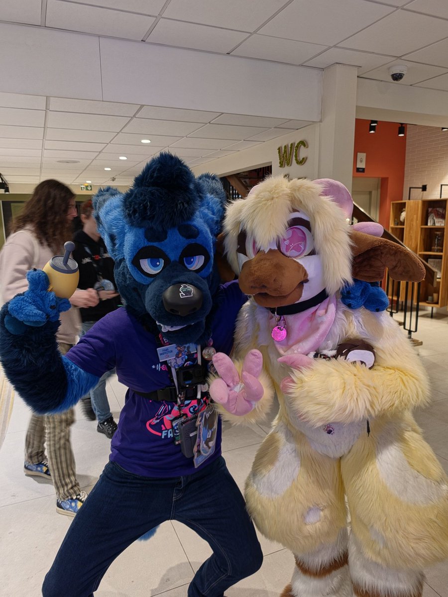 🐺Parcoli🐾 tweet media