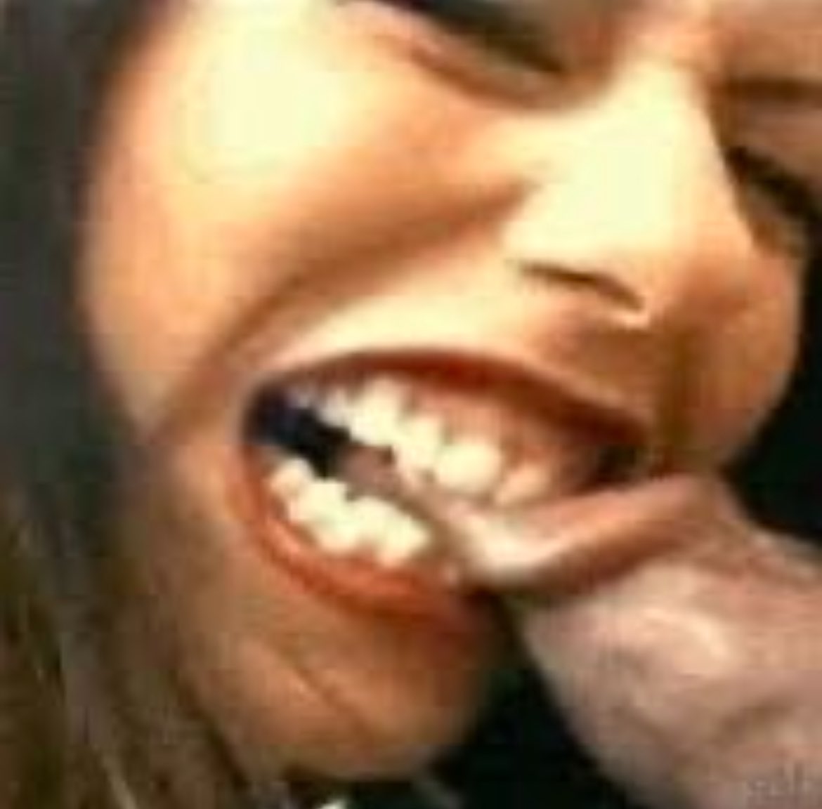 flightless bird 🐓 tweet media