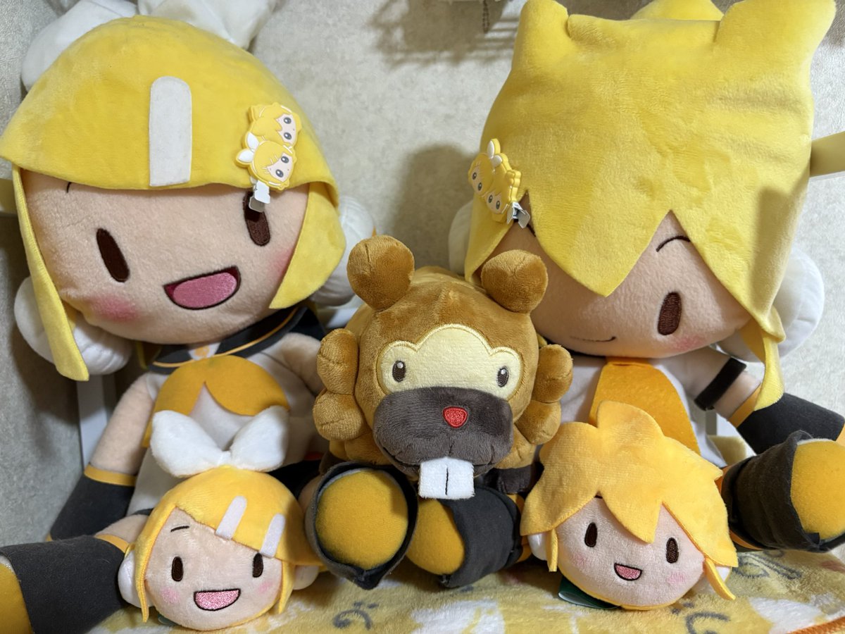 ぽんぬ tweet media