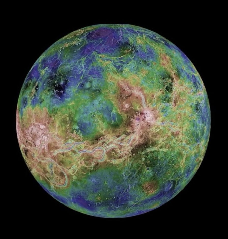 ashy (greenbull goonologist) tweet media