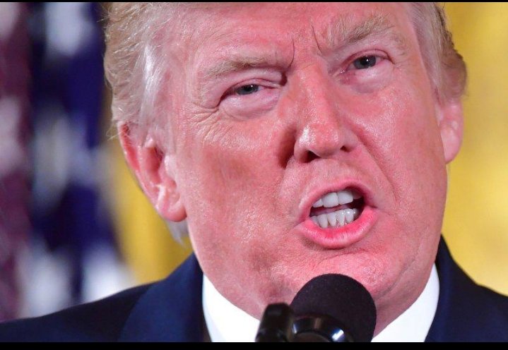 बघीरा 😺 tweet media