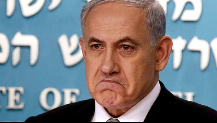 बघीरा 😺 tweet media