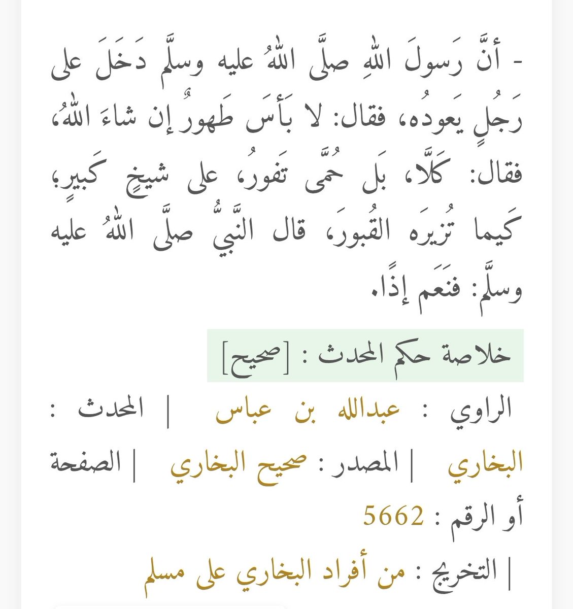 آل سيف tweet media