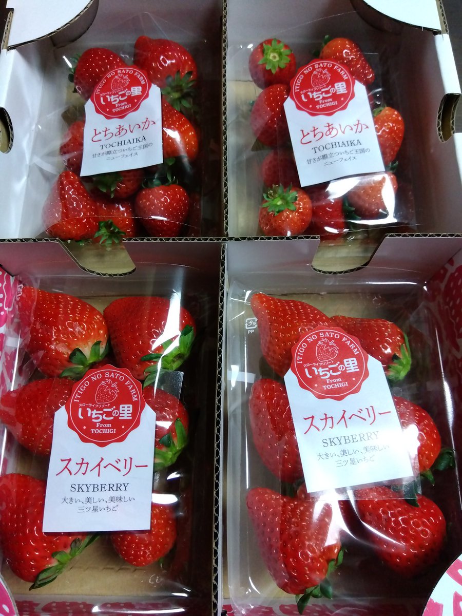 🌷骨転移した乳癌みぃ🌷 tweet media