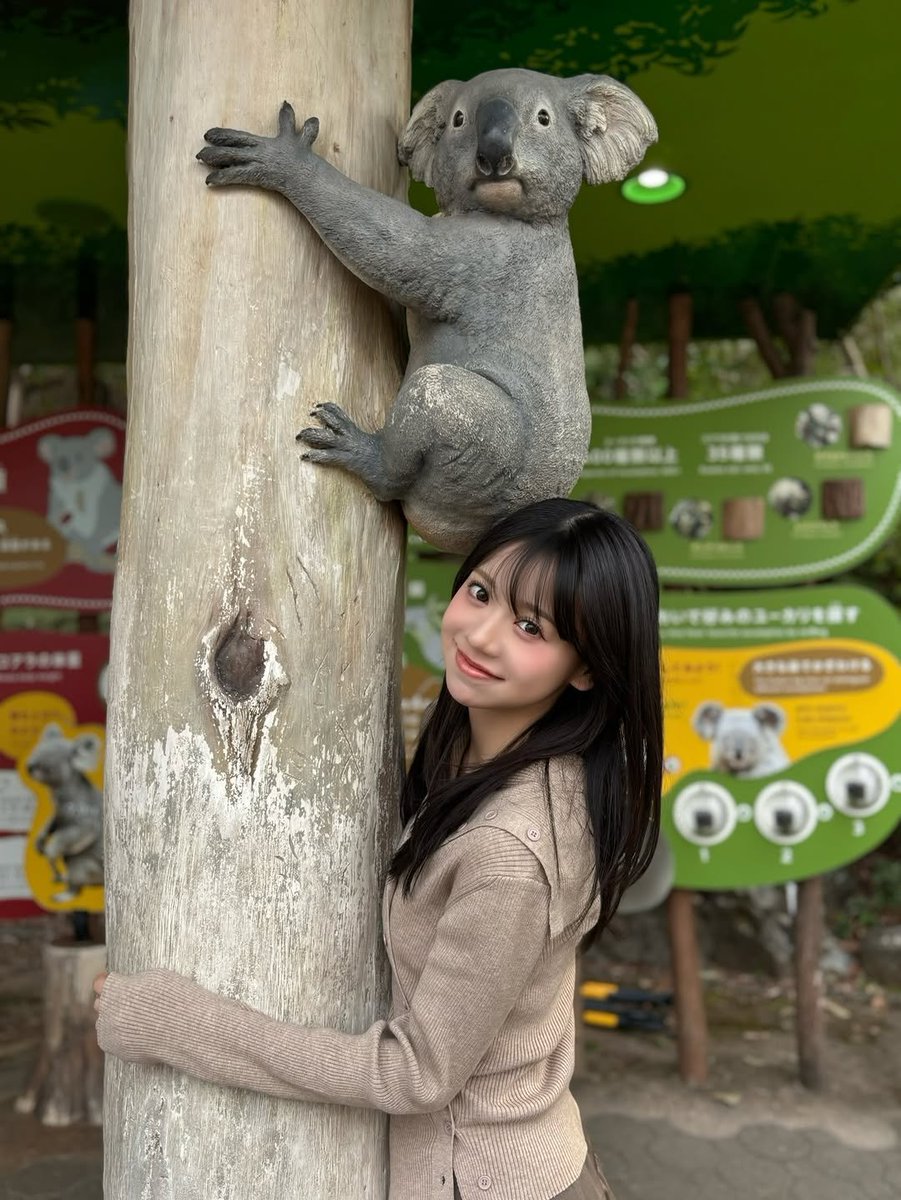 OCHA NORMA Updates tweet media