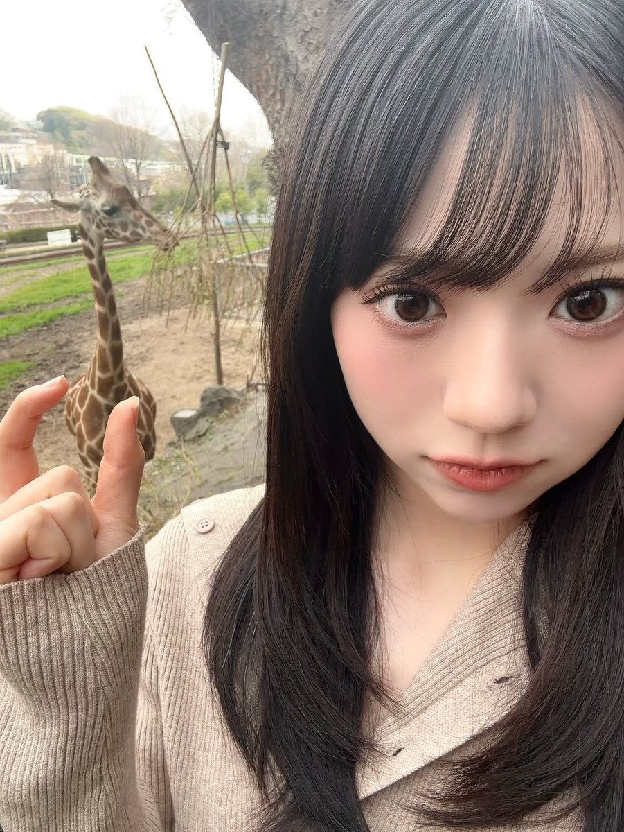 OCHA NORMA Updates tweet media