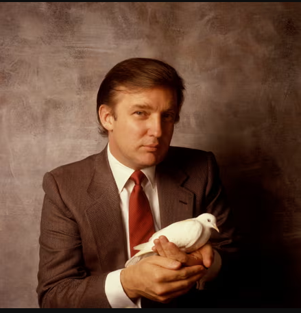 StarOfRemphan tweet media