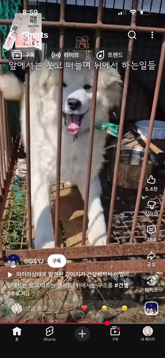 약밥이 tweet media