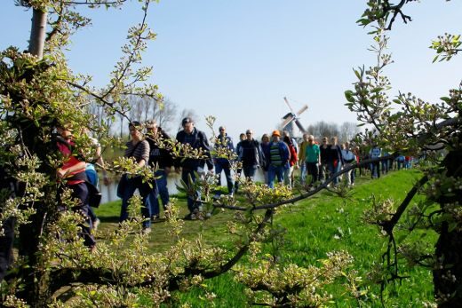 VisitTiel tweet media