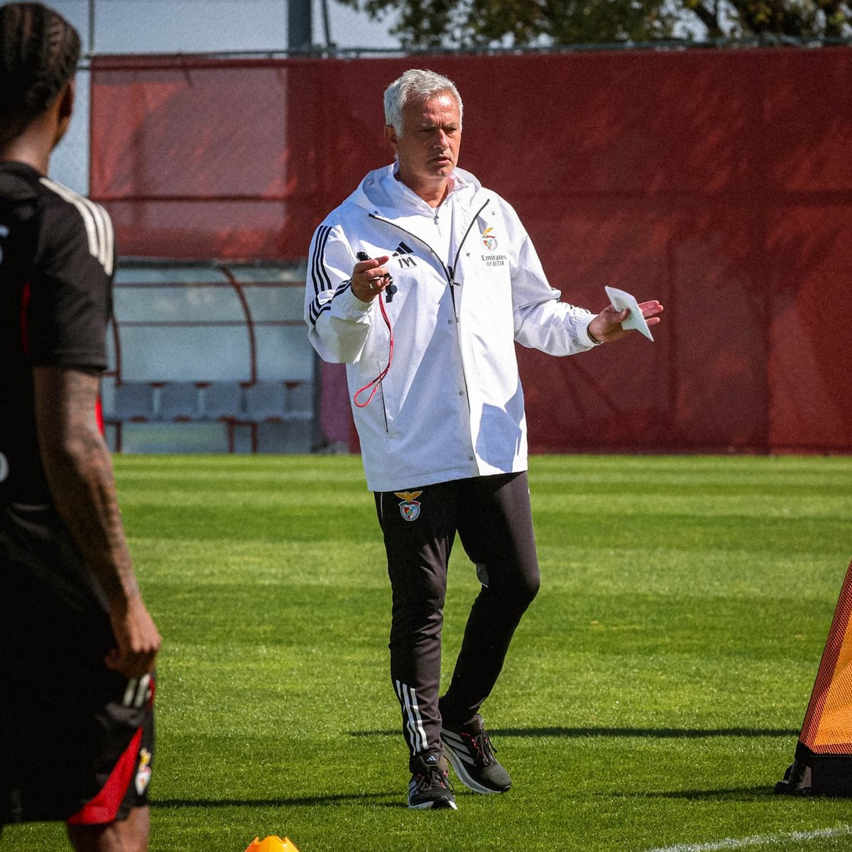 António Tadeia tweet media