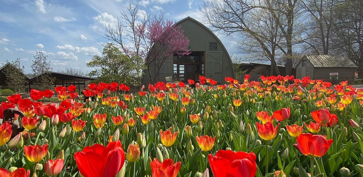 Oldham County Tourism KY tweet media