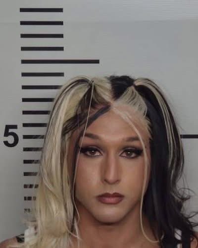 The Highviëwan 🦝🐿️🦌 tweet media