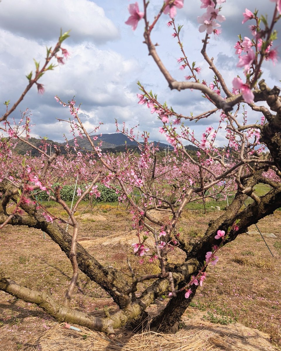 えり | 和歌山のホームページ制作やさん =Aster Work= tweet media