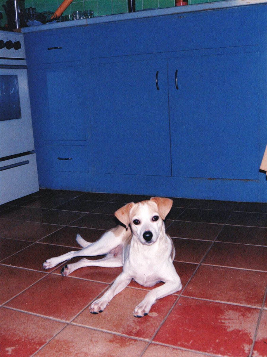 ちょうどいいAIクリエイター tweet media