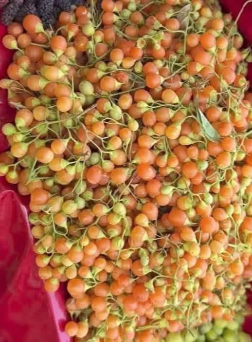 یہ کیا چیز آپکی زبان میں کیا کہتے ہیں ؟؟؟؟