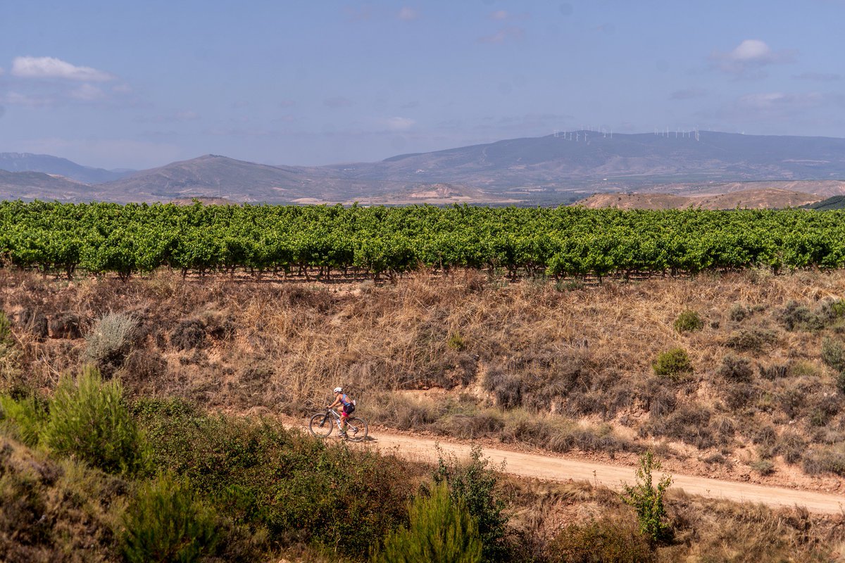 TRIATLONSP's tweet image. 3️⃣ meses para el Cpto de #España de #Acuatlón, #Duatlón y #Triatlón Cros #FETRICalahorra 2026. La antesala del Europeo, con recorridos y tracks disponibles en live.triatlon.org
📌 Consigue tu plaza para la competicion continental d 2027 el 25 y 26 d julio ¡No puedes faltar!