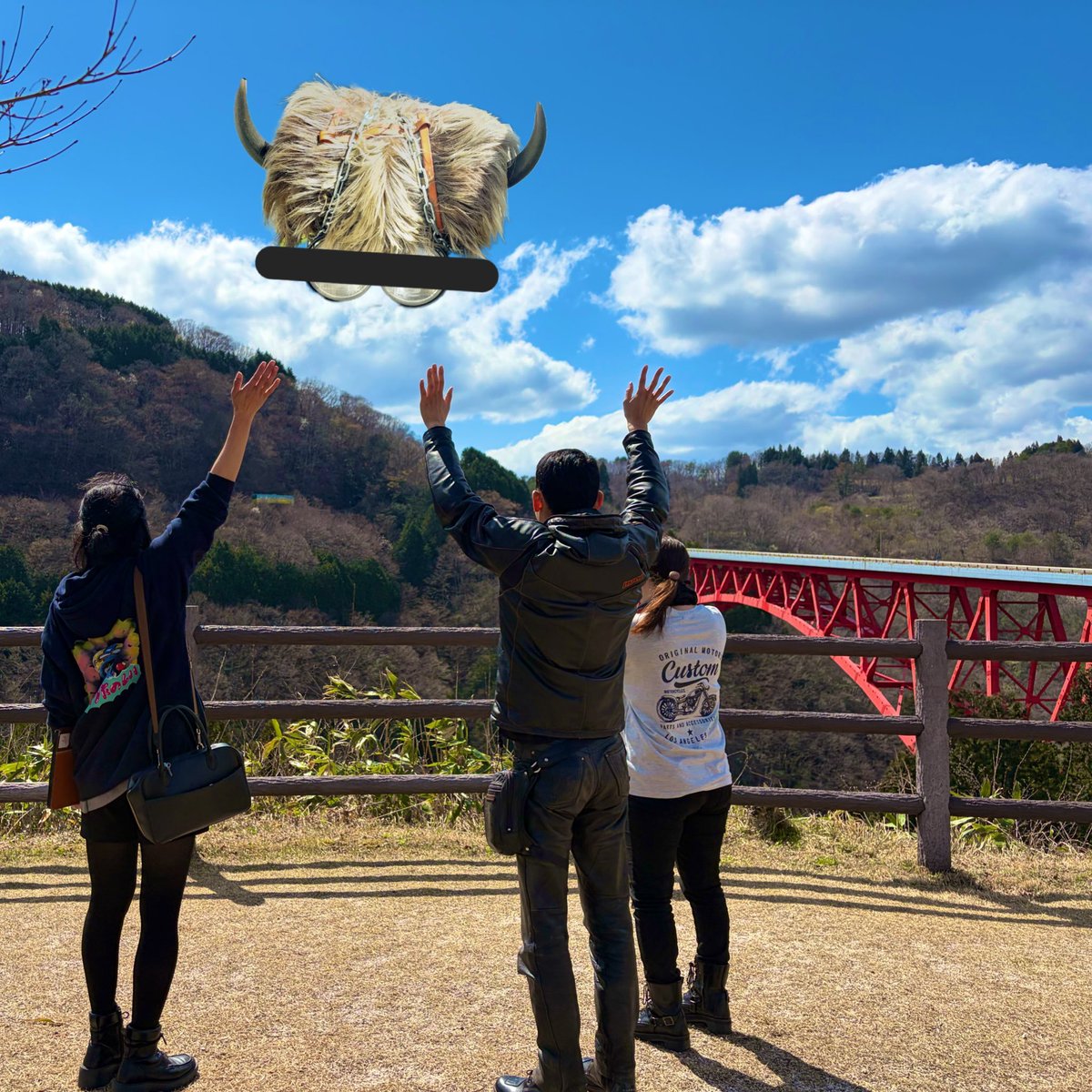 ﾌｫﾚｽﾄ tweet media