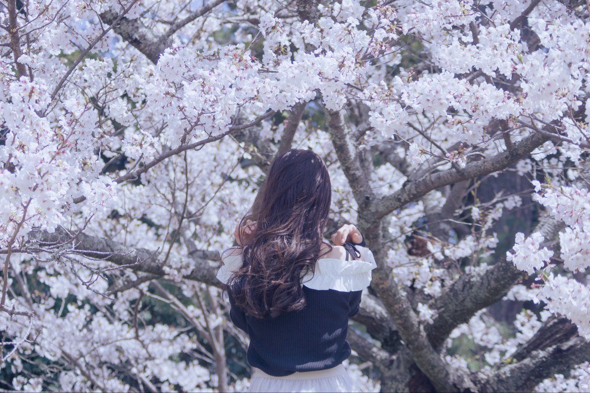 まさめ/tulle tweet media