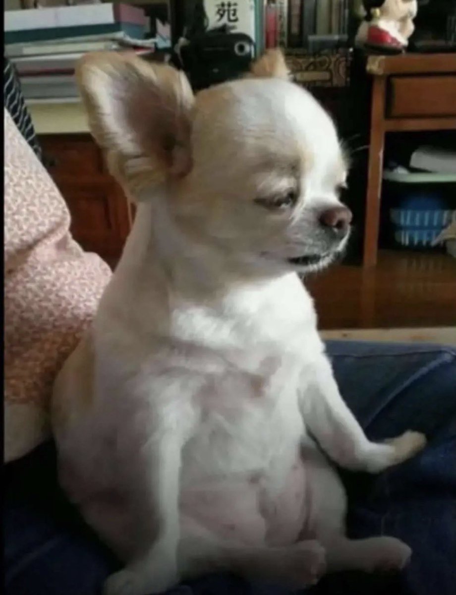 _ur_lurd 🇳🇬💯💪🏿 tweet media