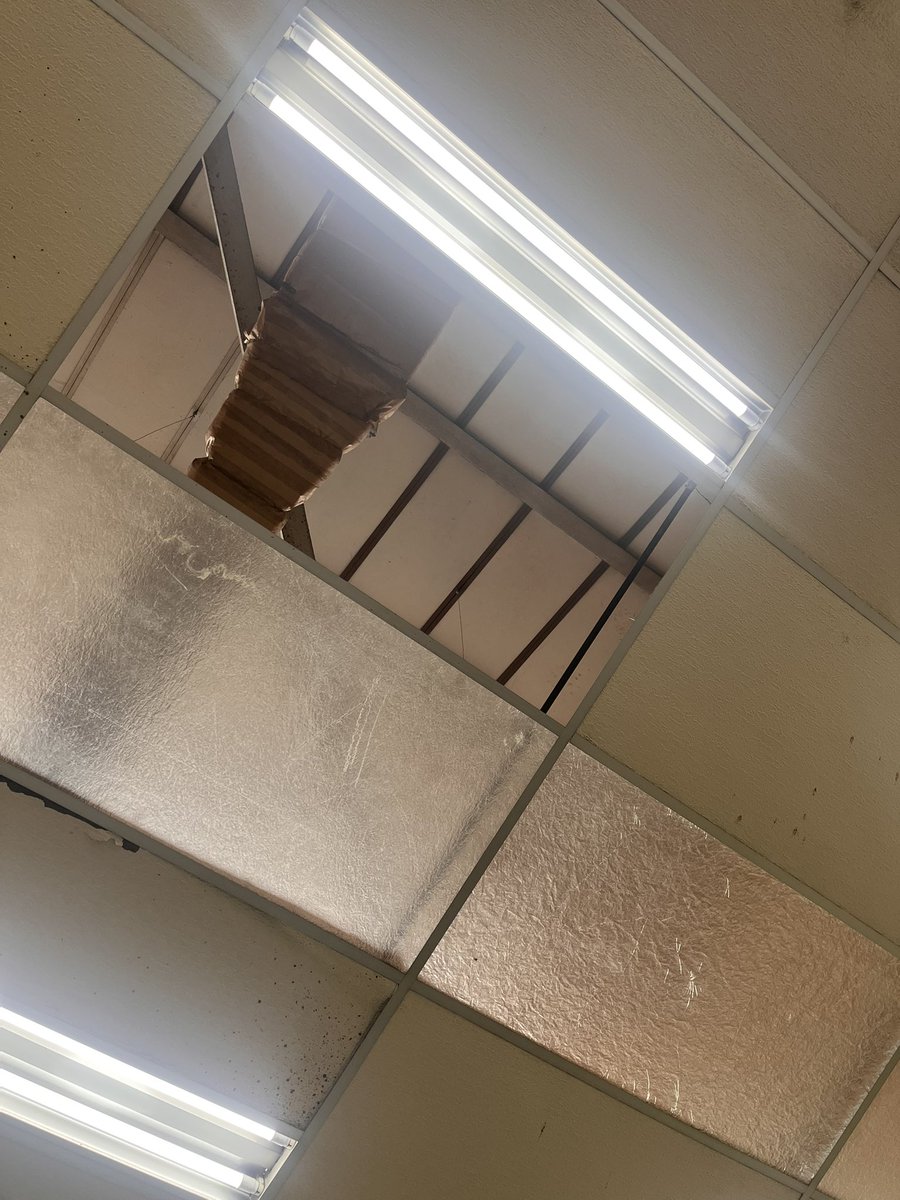 Nella!¡ tweet media